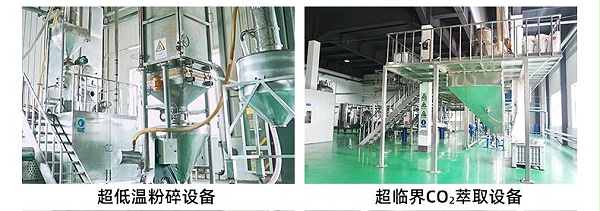 1111亚麻籽(黄色熟)详情页_02(2)