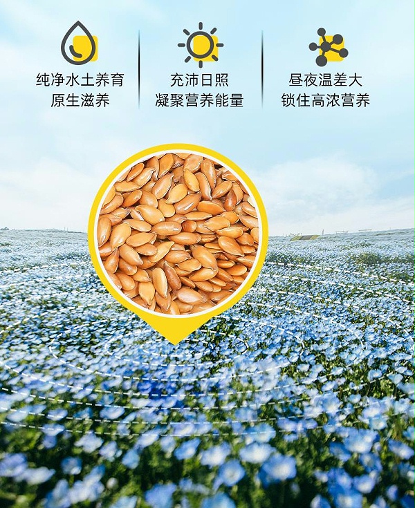 1111亚麻籽(黄色熟)详情页_03(1)