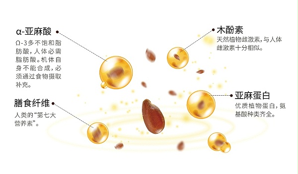 0926亚麻籽营养(1)