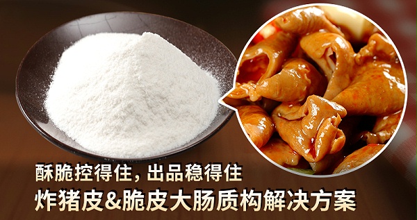 0105炸猪皮 脆皮大肠质构解决方案01(1)