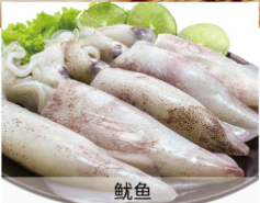 企业微信截图_17611159793653