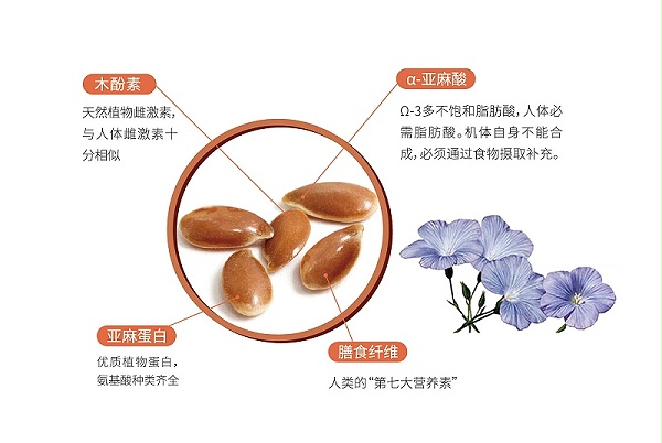 健康食品配料四折页20240305版2(1)