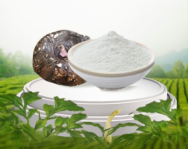 魔芋粉