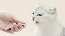 猫条不够顺滑？德慧方案——乳化保脂，舔食丝滑粘稠可控