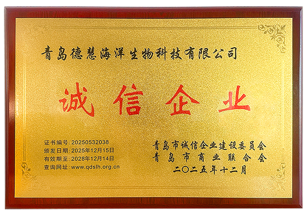 2025.12-2028