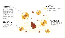 亚麻籽为肉制品与米面制品食品提供质构解决方案