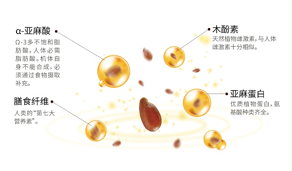 0926亚麻籽营养(1)